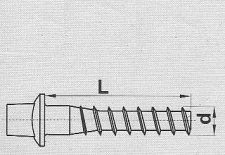 Wkręt kolejowy Ss8 22x150
